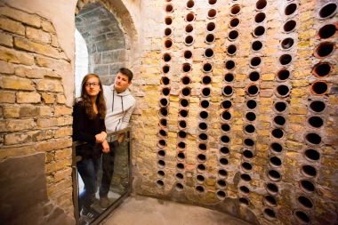 Ideologie und Terror der SS